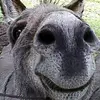 Alan Partee - @alan.partee - TikTok