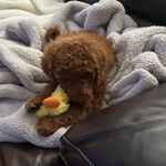 Alan Paschal - @alanwbry70 - Instagram