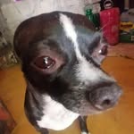 Alan Pascual - @alanpasc170 - Instagram