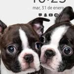 Alan Pascual - @alanpascual843 - Instagram