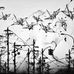 Alan Patton - Facebook
