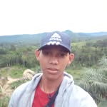 Paulus Alan - @paulus.alan.56 - Instagram