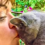 Lisa Lane Pemberton - @lisa.lane.pemberton - Instagram