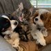 Alan Pendleton - Facebook