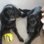Alan Pepper - @alan.p433 - Instagram