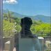 Alan Perales - Facebook