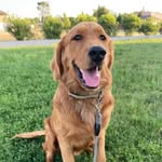 Alan Pierpont - @alanpierpont - Instagram