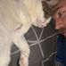 Alan Piggott - Facebook