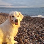 Alan Pittman - @alanpittm - Instagram
