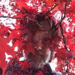 Alan Pittman - @alanpittman - Instagram