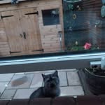Alan Plunkett - @plunkett1710 - Instagram
