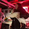alannahplunkettt - @alannahplunkettt - TikTok
