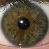 Alan Polasik - @alan.polasik - TikTok