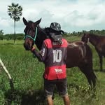 Alan Pontes - @alanpontes60 - Instagram