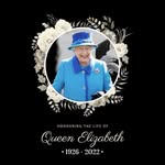 Alan Pooley - @pooley8244 - Instagram