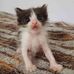 Alan Popek - Facebook