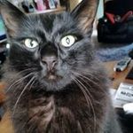 Kathy Alan Priest - @kathyalanpriest - Instagram