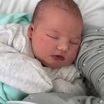 Alan Pringle - @alan.pringle - Instagram