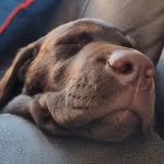 Alan Prosser - @apross2108 - Instagram