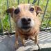 Alan Pye - Facebook