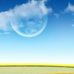 Alan Quek - Facebook