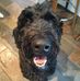 Allan Rennie - Facebook