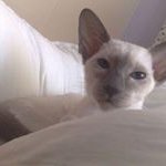 Alan Renshaw - @alan.renshaw - Instagram