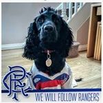 Alan Renwick - @alan.renwick - Instagram
