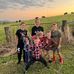 Allan Renwick - Facebook