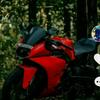 alan rider - @user24333253 - TikTok