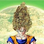 alanrizzo14 - @alanrizzo__ - Instagram