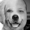 Alan Ruciński - @rucinek - TikTok