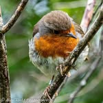 Alan Rudd - @alan_rudd_photography - Instagram