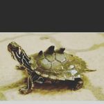 Alan Rudd - @4ggr0 - Instagram