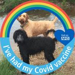 Alan Rudd - @rudd.alan - Instagram