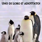 Alan - @alan_rudi_boldrin - Instagram
