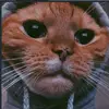 alanruen - @alanruen - TikTok