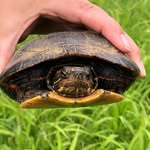 Alan Ruggles - @alan.ruggles - Instagram