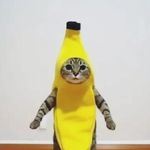 alanruhl - @alanruhl09 - Instagram