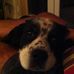 Alan Rumbles - Facebook