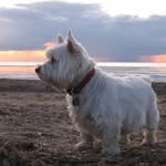 @alanrumney57 - Instagram