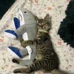 Ruprecht Alaric Wilhelm von Königswald - @rup.yayy - Instagram