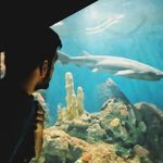 Alan Rusch - @alanrusch04 - Instagram