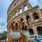 Alan, Ruth & Hallie | The Travelling Sausage 🗺️ - @_thetravellingsausage - Instagram