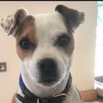 Alan Ryan - @alanryan175 - Instagram