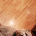Alan Ryan - @alanryan1970 - Instagram