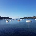 Alan Ryan - @alanryan5207 - Instagram