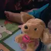 Alan Ryan  - @zoey464636 - TikTok
