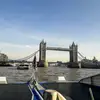 alansaadi - @alansaadi - TikTok