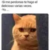 Sack Alan - @sackalan - TikTok